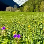 Lägenhetshotell Au Vieux Grenier Cogne