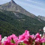 Lägenhetshotell Au Vieux Grenier 3*