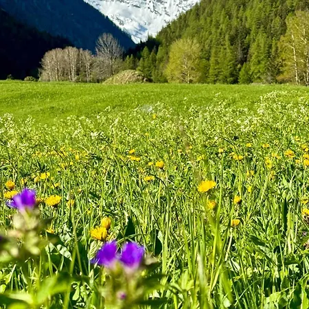 Ξενοδοχείο με διαμερίσματα Au Vieux Grenier Cogne
