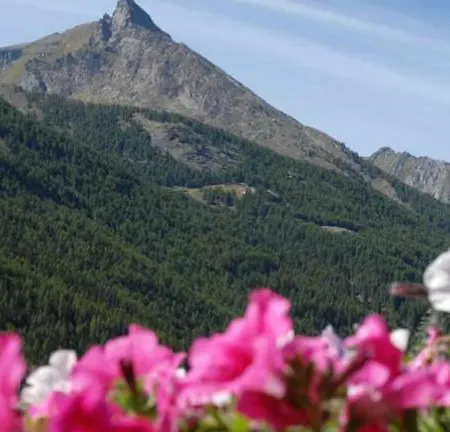 Hotel apartamentowy Au Vieux Grenier 3*