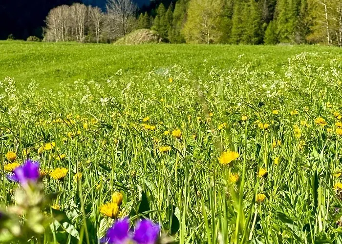 Aparthotel Au Vieux Grenier Cogne