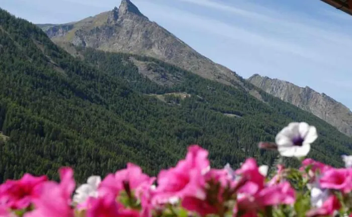 Aparthotel Au Vieux Grenier 3*